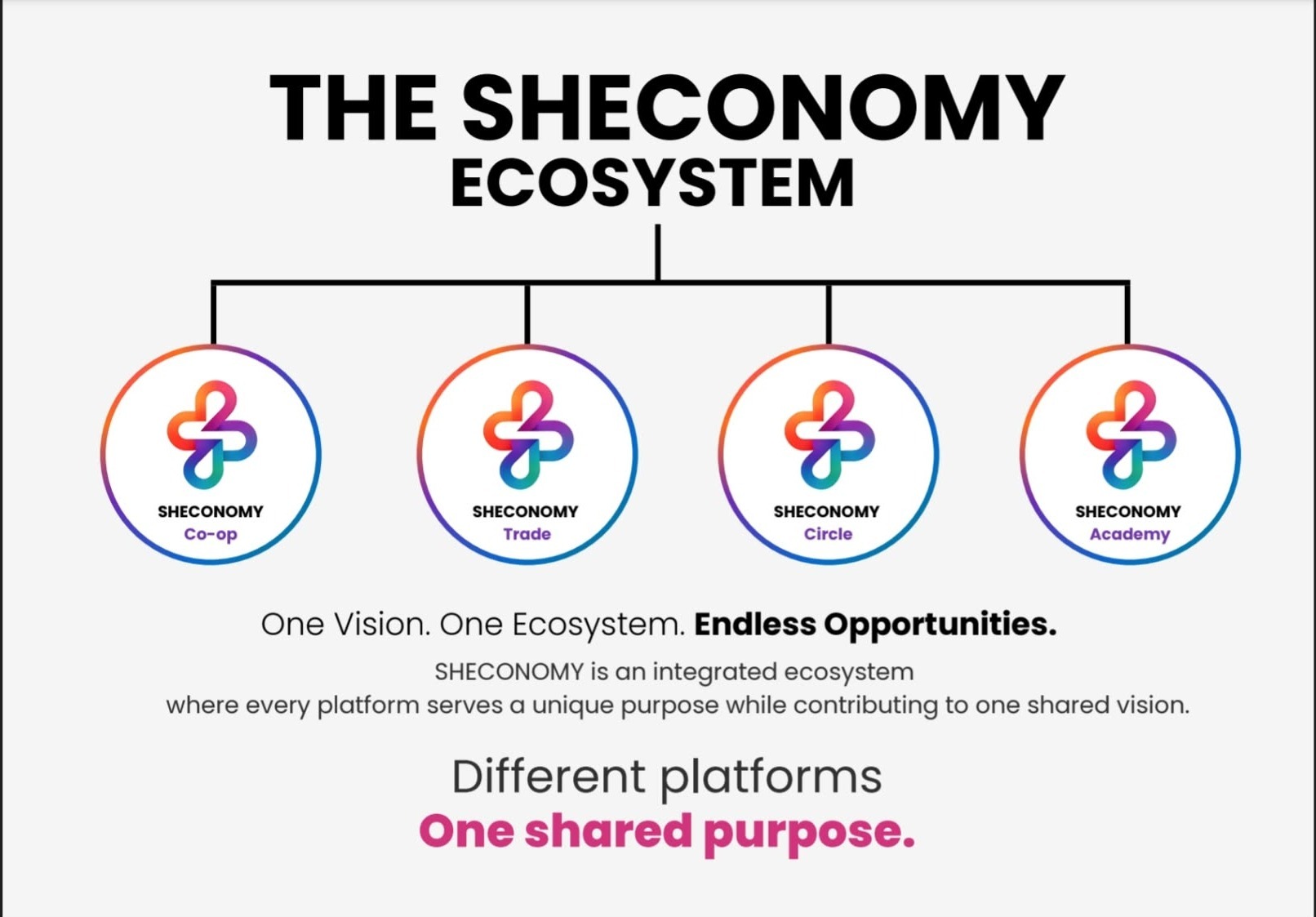 The Sheconomy Ecosystem — one brand branching into Co-op, Trade, Circle and Academy